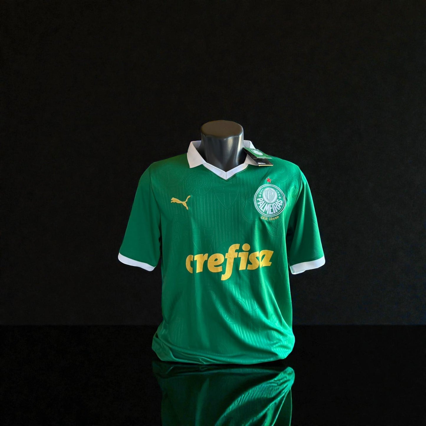 Palmeiras Titular – Torcedor 2024-25